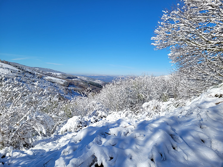 Snow in the Pilat Park