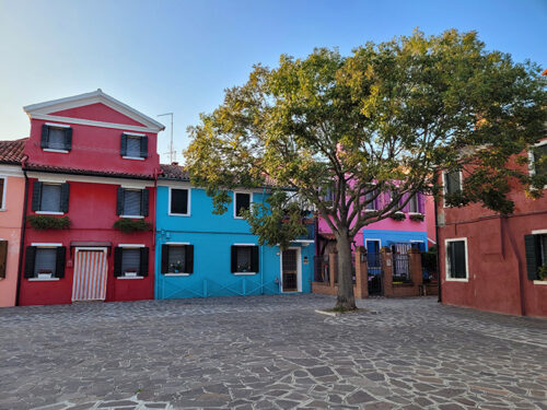 Tree and colorful houses