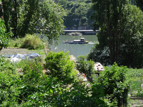 Boat on Douro River