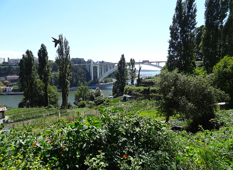 View from Palacio de Cristal