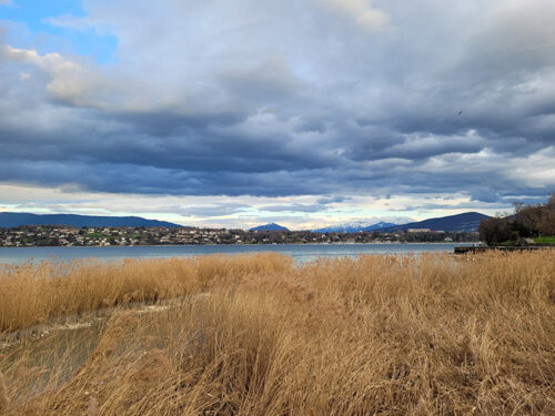 View from La Perle Du Lac