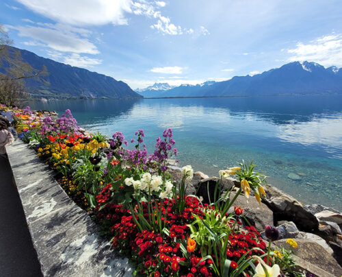 Flower quays of Montreux