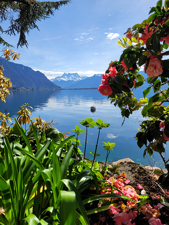 View of the lake