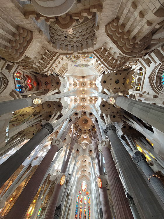 Looking up in the Sagrada Familia