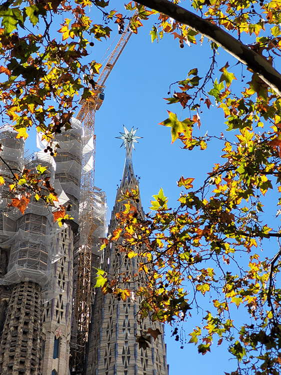 Sagrada Familia from far