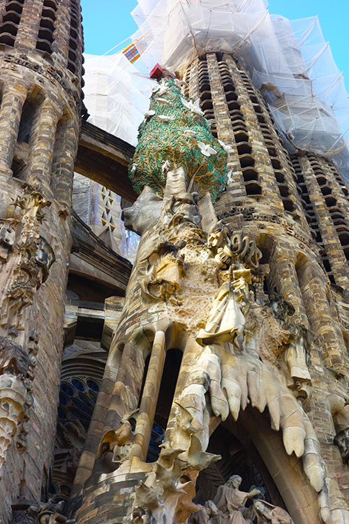 Tree on the temple