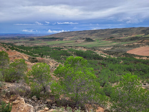 Bardenas Reales Hike