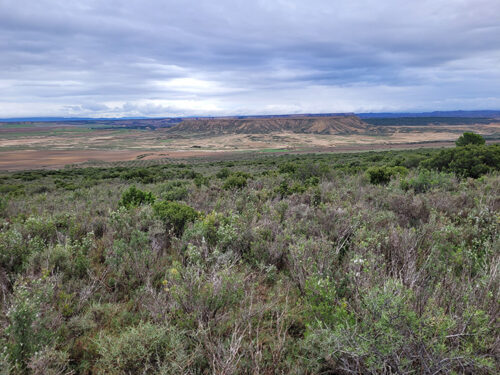 Bardenas desert