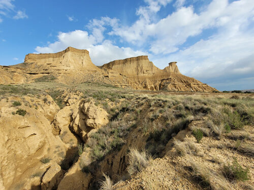 Beautiful desert