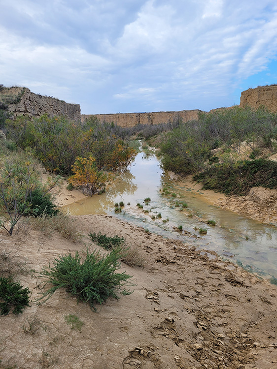 Waterways in the Bardenas desert