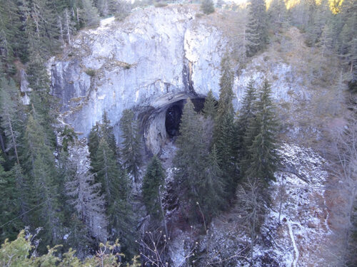 Hike in December