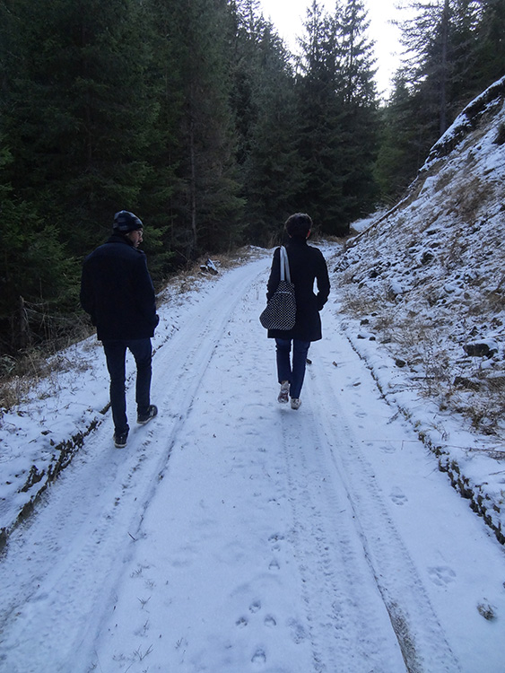 Walking on the snow