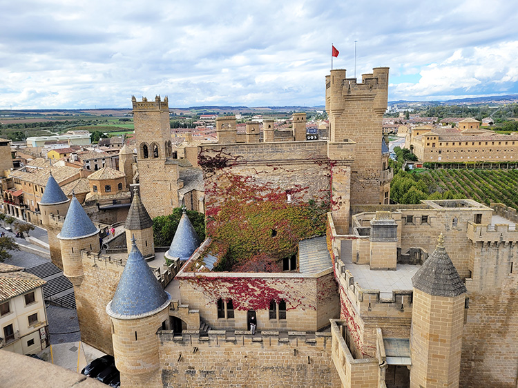 Medieval castle in Navarre