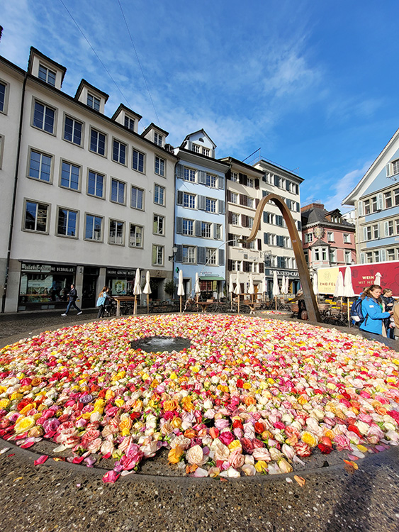 Munsterhof square roses
