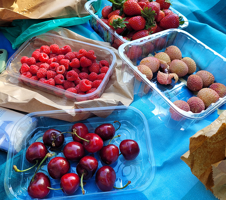 Fruits