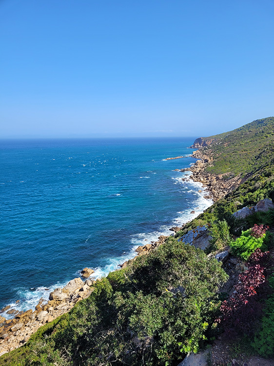 Coast at Cap Spartel