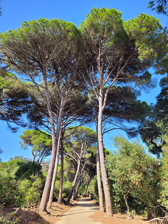 Parc Perdicaris