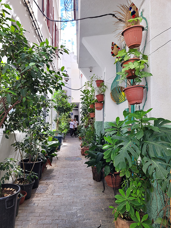 Streets of Tangier