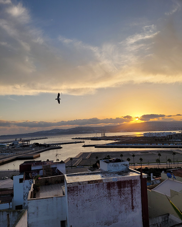 Waking up in Tangier