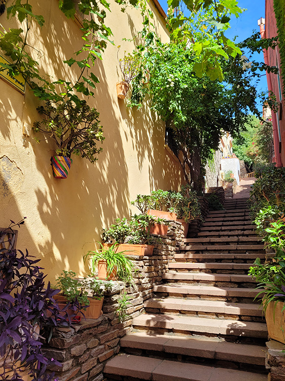 Collioure's alleys