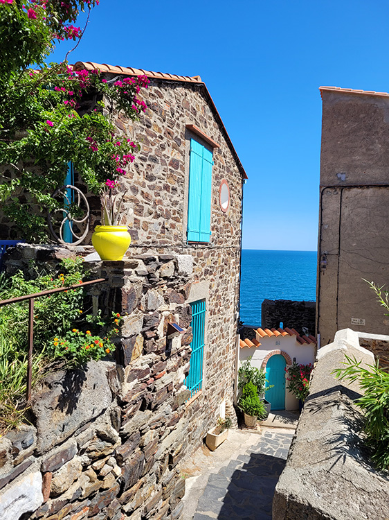 Collioure's colors