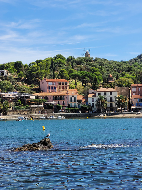 The bay of Collioure