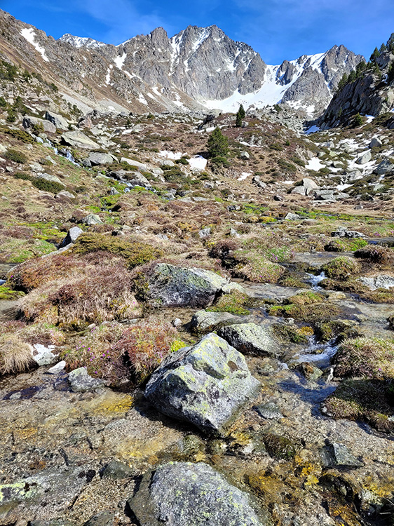 Wonders at Lake Les Abelletes