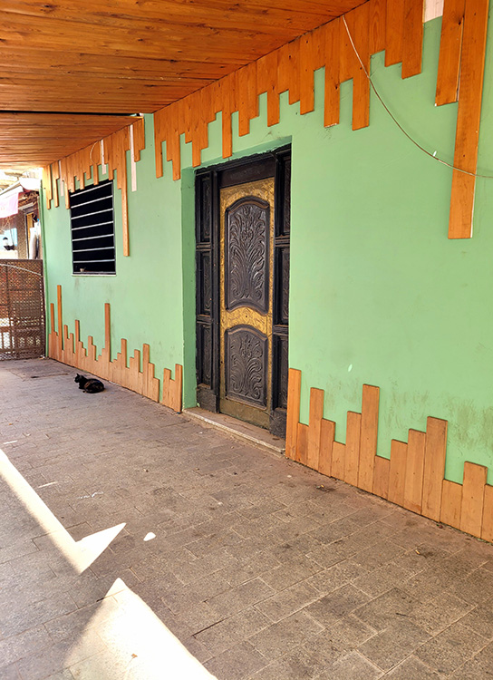 Cat and wall in Tunis