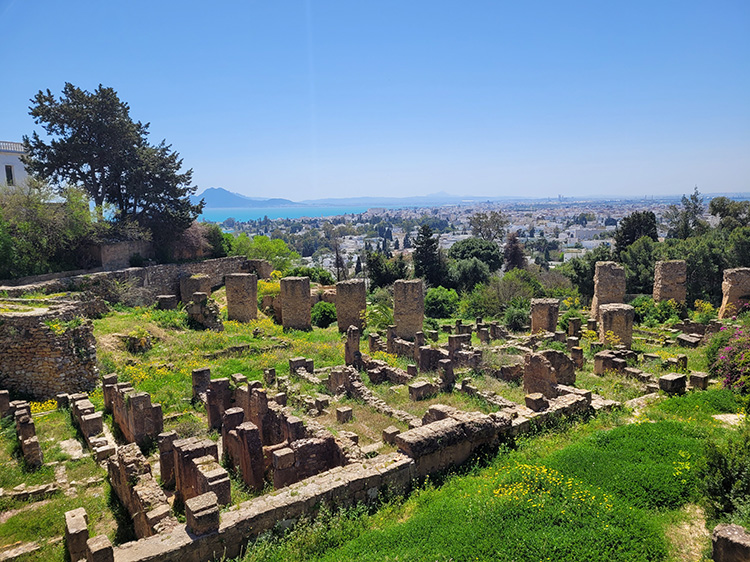 Punic district