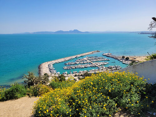 Seaside near Tunis