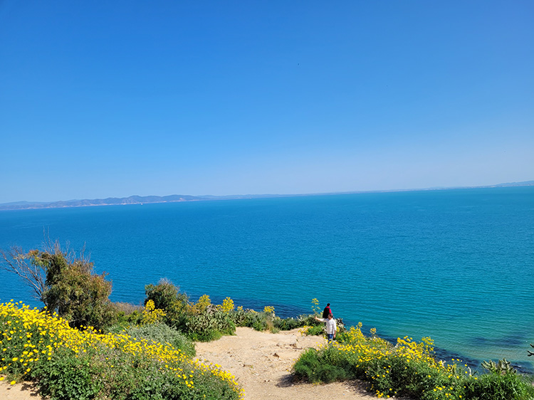 View from Sidi Bou Said