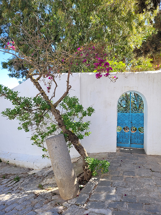Walking in Sidi Bou Said