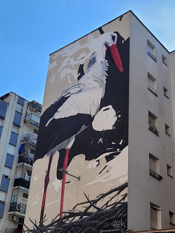 Monar'T stork
